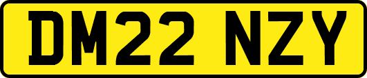 DM22NZY