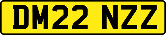 DM22NZZ