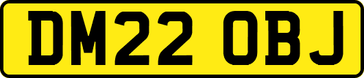 DM22OBJ