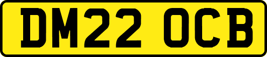 DM22OCB