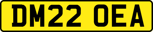 DM22OEA