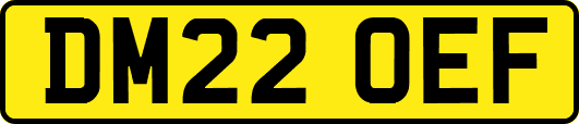 DM22OEF