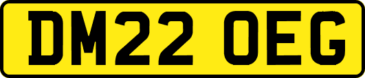 DM22OEG