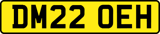 DM22OEH