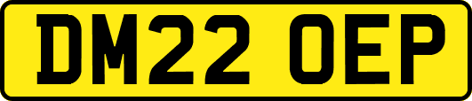 DM22OEP