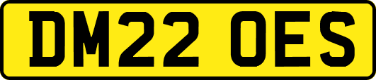 DM22OES