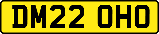 DM22OHO