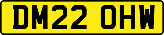 DM22OHW