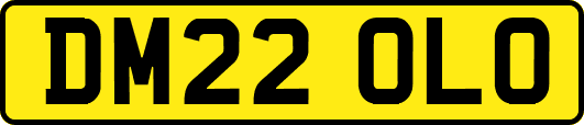 DM22OLO