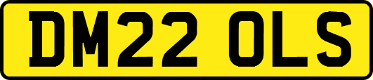 DM22OLS