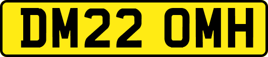 DM22OMH