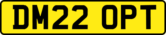 DM22OPT