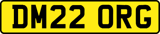 DM22ORG