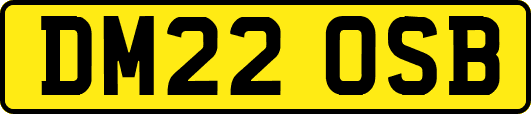 DM22OSB