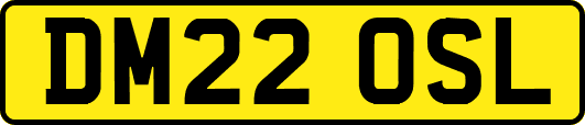 DM22OSL