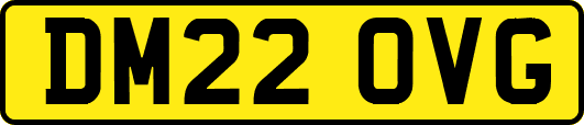 DM22OVG