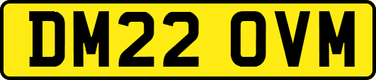 DM22OVM