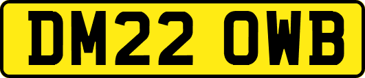 DM22OWB