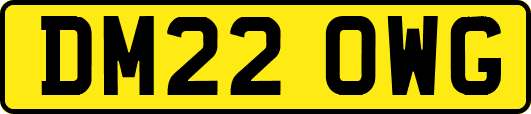 DM22OWG
