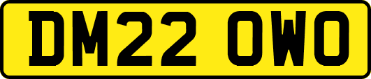 DM22OWO
