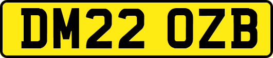 DM22OZB