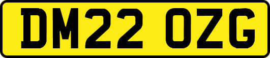 DM22OZG