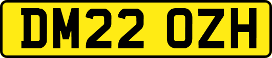 DM22OZH