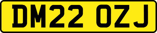 DM22OZJ