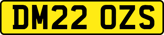 DM22OZS