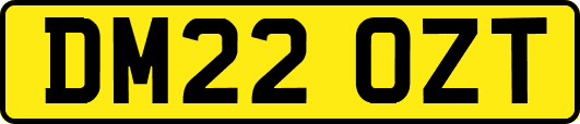 DM22OZT