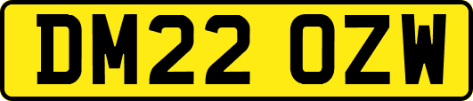 DM22OZW
