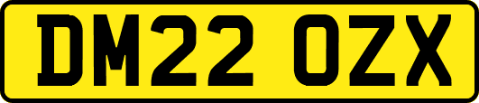 DM22OZX