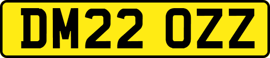 DM22OZZ