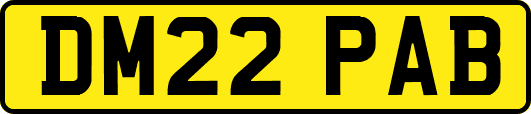 DM22PAB
