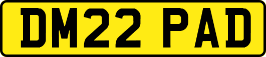 DM22PAD