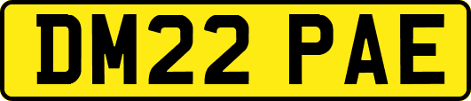 DM22PAE
