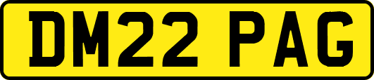 DM22PAG