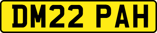 DM22PAH