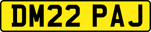 DM22PAJ