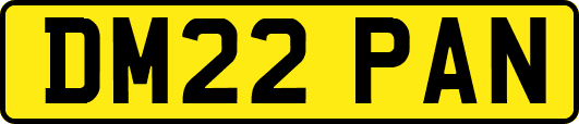 DM22PAN