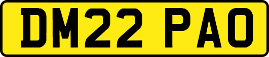 DM22PAO