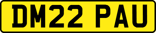 DM22PAU