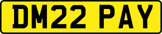 DM22PAY