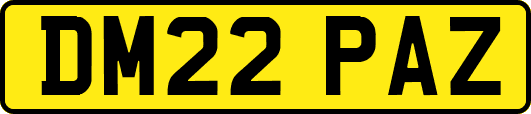 DM22PAZ
