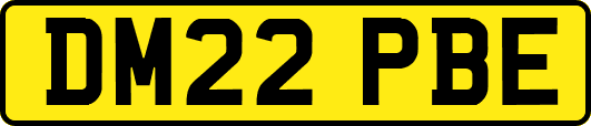 DM22PBE