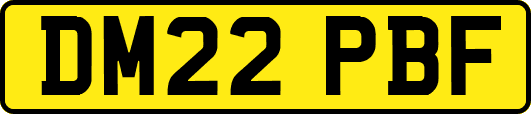 DM22PBF