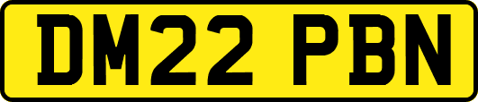 DM22PBN