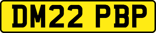 DM22PBP
