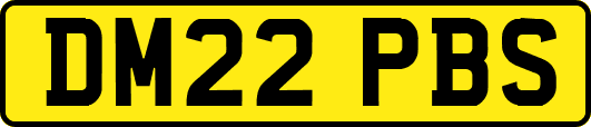 DM22PBS