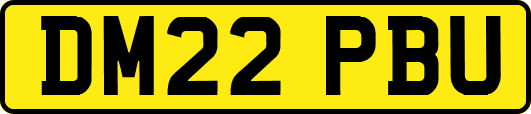 DM22PBU